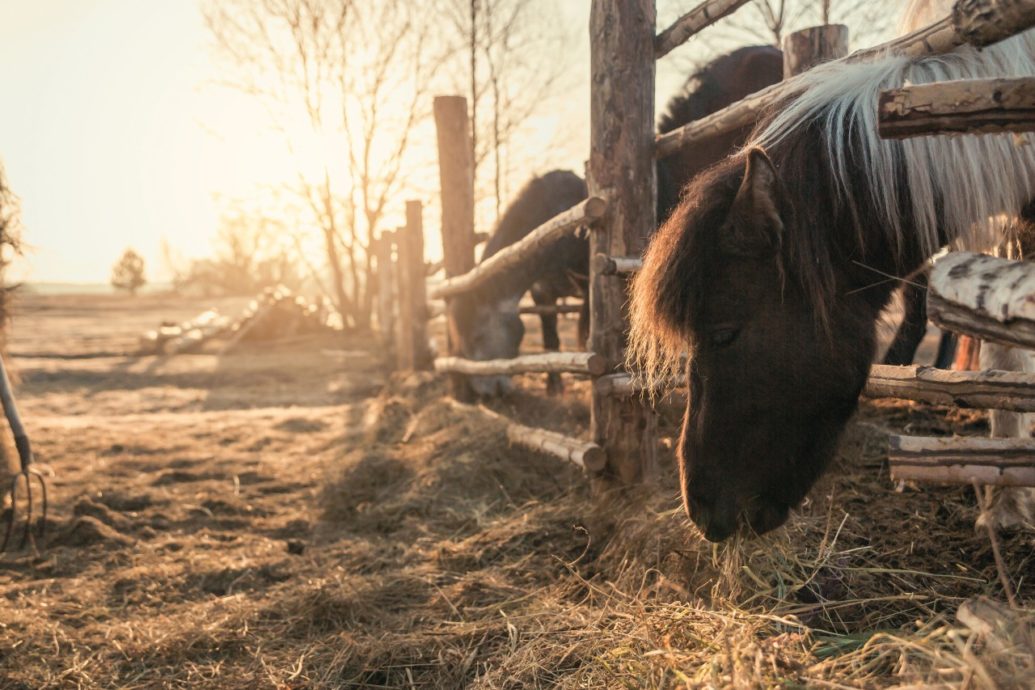 A Comprehensive Guide to Hay Equipment Maintenance The Crusher