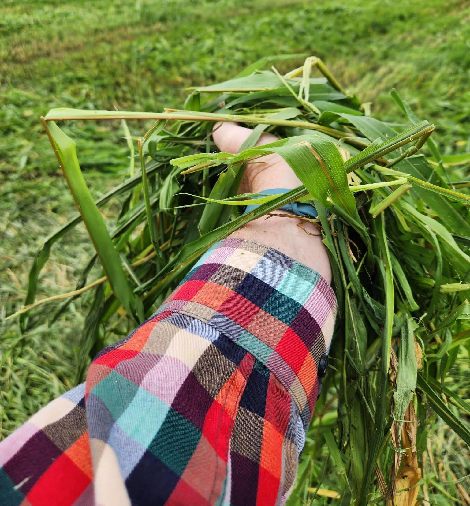 How Early Season Prep Saves You Money All Year