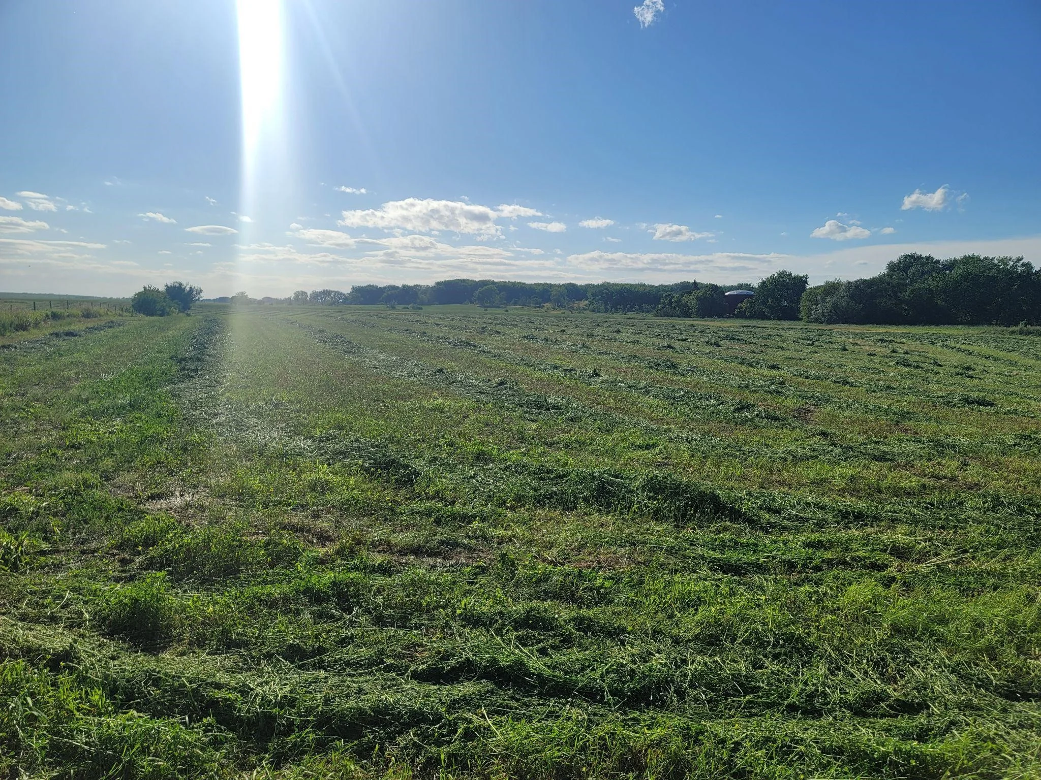 The 100-Yard Field Test: Dialing In Tension Without the Chart